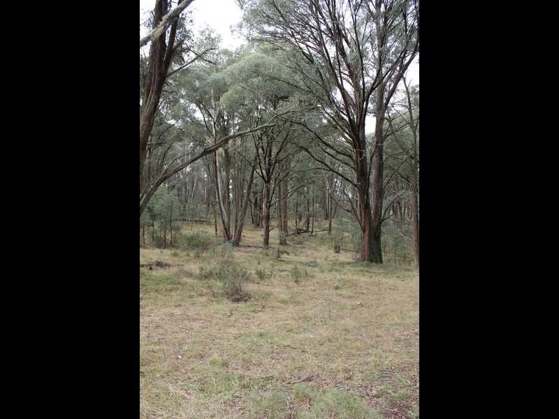 Lot 4 Moody’s Hill Road, Tumbarumba NSW 2653