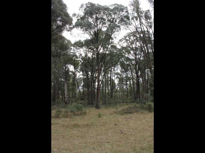 Lot 4 Moody’s Hill Road, Tumbarumba NSW 2653