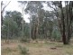 Lot 4 Moody’s Hill Road, Tumbarumba NSW 2653