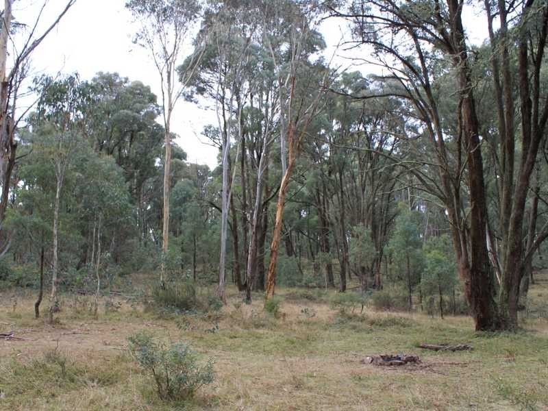 Lot 4 Moody’s Hill Road, Tumbarumba NSW 2653