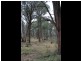 Lot 4 Moody’s Hill Road, Tumbarumba NSW 2653