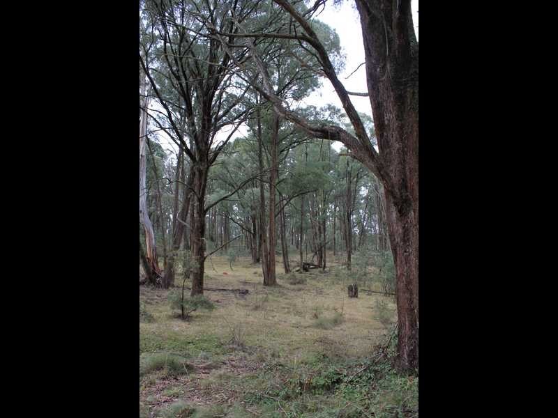 Lot 4 Moody’s Hill Road, Tumbarumba NSW 2653