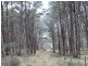 Lot 4 Moody’s Hill Road, Tumbarumba NSW 2653