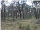 Lot 4 Moody’s Hill Road, Tumbarumba NSW 2653