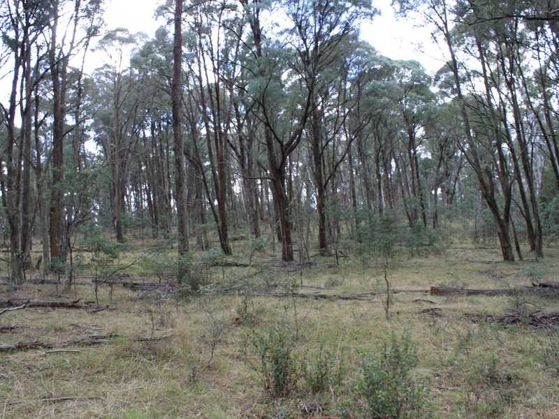 Lot 4 Moody’s Hill Road, Tumbarumba NSW 2653