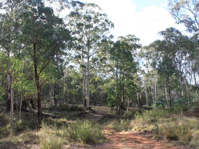 Lot 4 Moody’s Hill Road, Tumbarumba NSW 2653