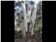 Lot 4 Moody’s Hill Road, Tumbarumba NSW 2653