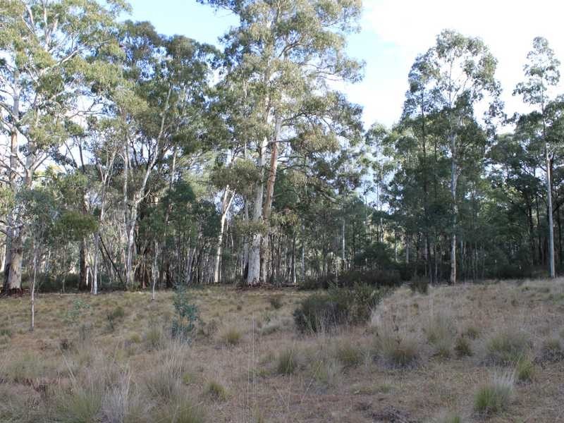 Lot 4 Moody’s Hill Road, Tumbarumba NSW 2653
