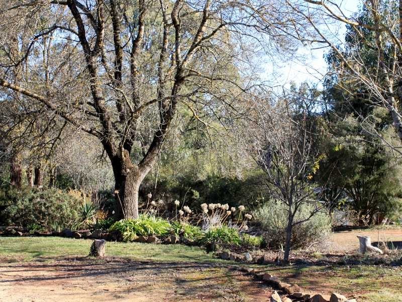 1336 Batlow Road, Tumbarumba NSW 2653