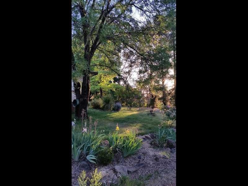 1336 Batlow Road, Tumbarumba NSW 2653