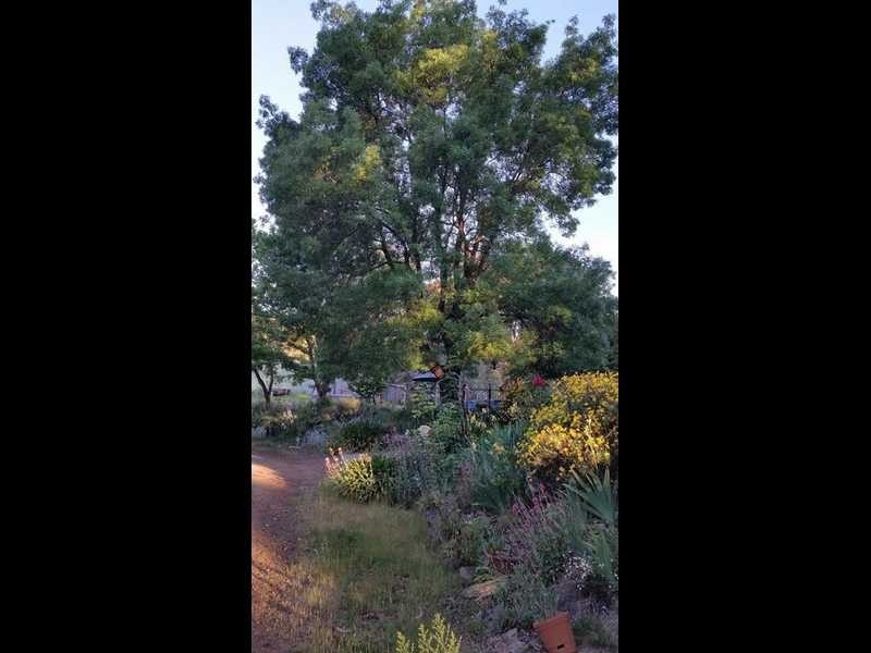 1336 Batlow Road, Tumbarumba NSW 2653