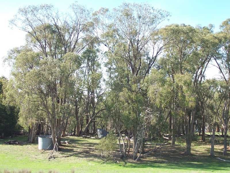 Sonny’s Hut Mt Ikes Road, Tumbarumba NSW 2653