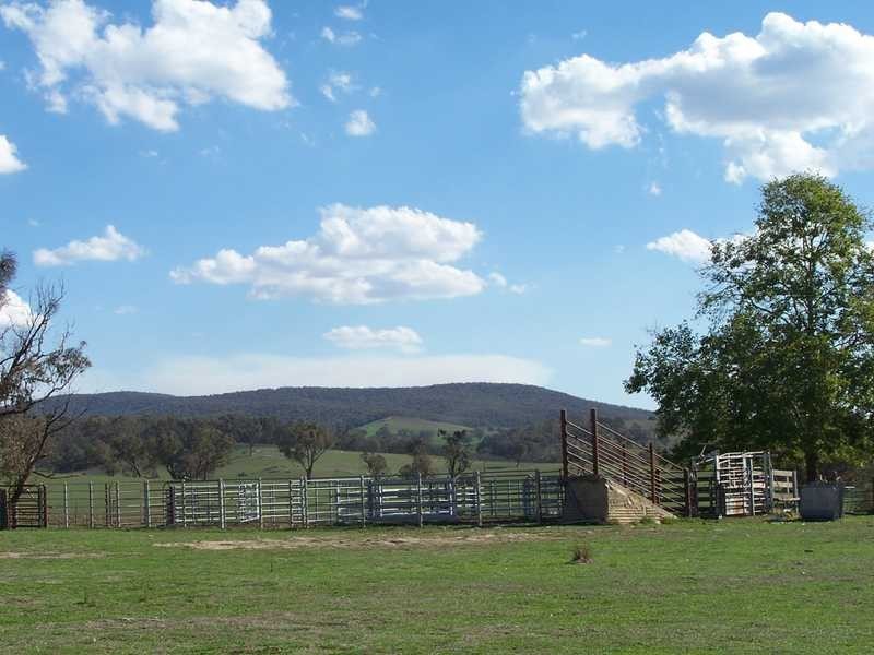 Sonny’s Hut Mt Ikes Road, Tumbarumba NSW 2653