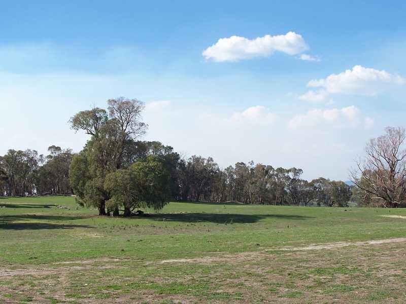 Sonny’s Hut Mt Ikes Road, Tumbarumba NSW 2653