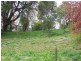120 Winton Street, Tumbarumba NSW 2653