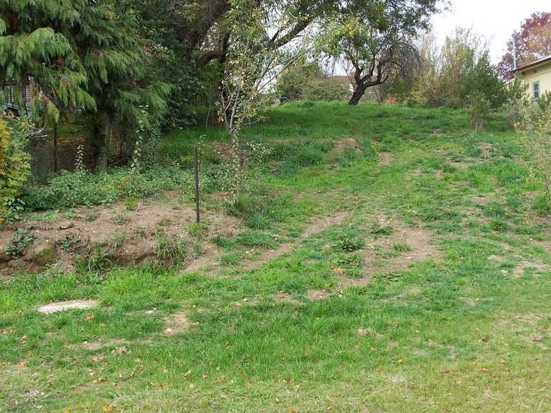 120 Winton Street, Tumbarumba NSW 2653