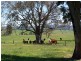 KINKUNA Mt Ikes Road, Tumbarumba NSW 2653