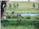 KINKUNA Mt Ikes Road, Tumbarumba NSW 2653