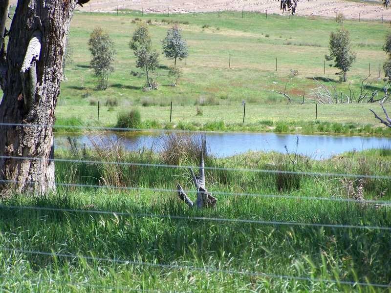 KINKUNA Mt Ikes Road, Tumbarumba NSW 2653