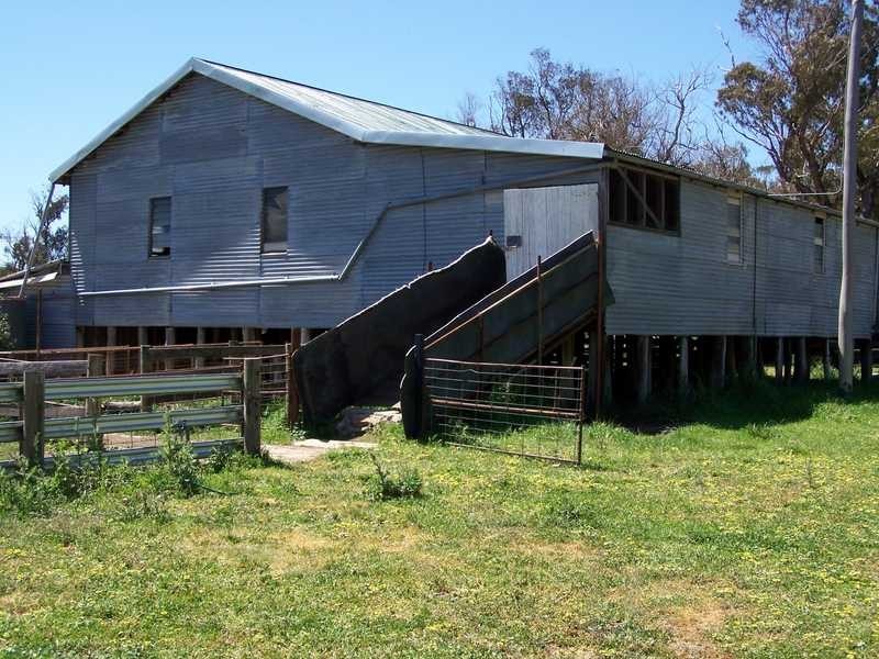 KINKUNA Mt Ikes Road, Tumbarumba NSW 2653
