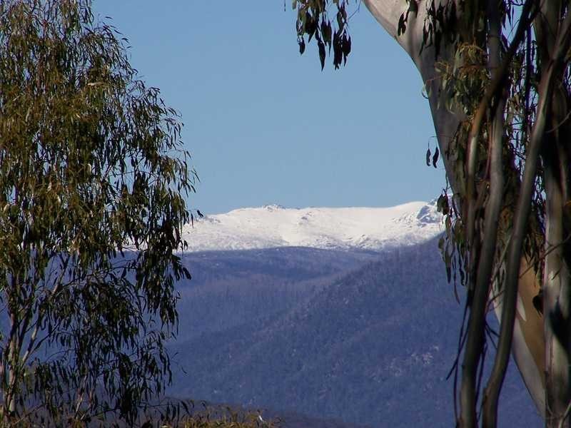 Lot 6 Moody’S Hill Road, Tumbarumba NSW 2653