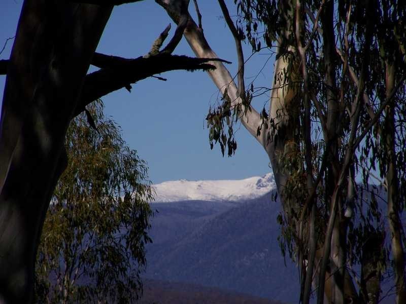 Lot 6 Moody’S Hill Road, Tumbarumba NSW 2653