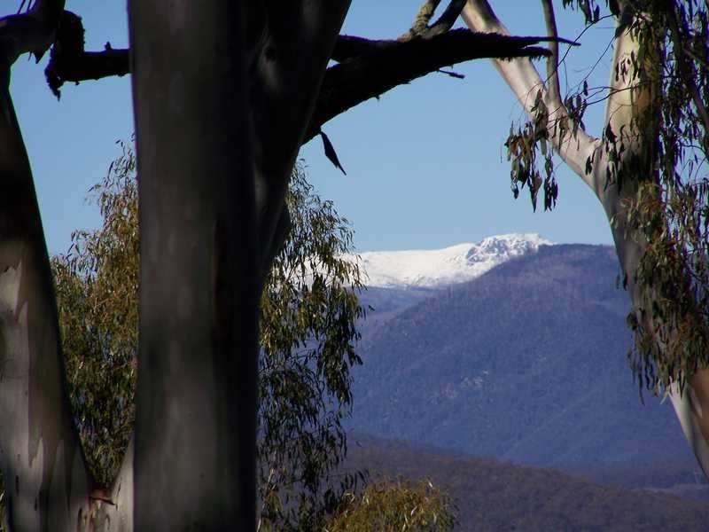 Lot 6 Moody’S Hill Road, Tumbarumba NSW 2653