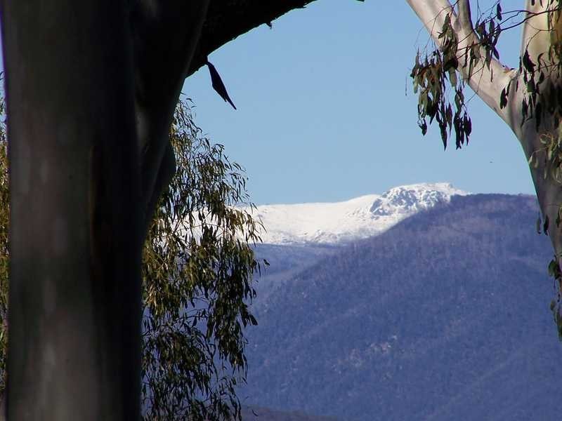 Lot 6 Moody’S Hill Road, Tumbarumba NSW 2653