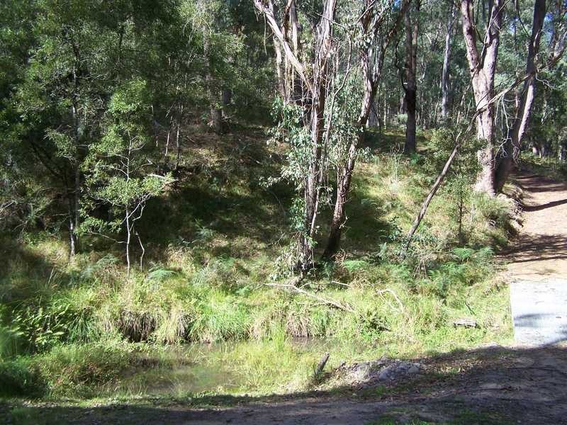 Yenschs Road, Tumbarumba NSW 2653