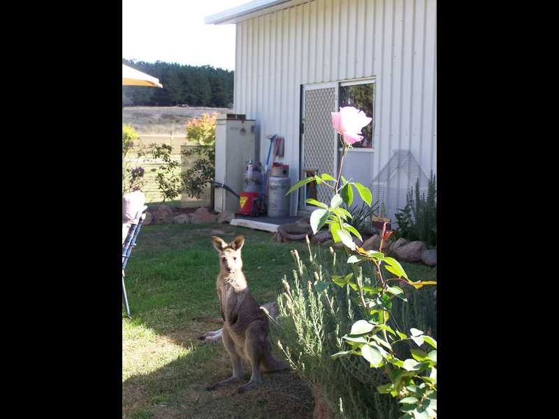 Yenschs Road, Tumbarumba NSW 2653