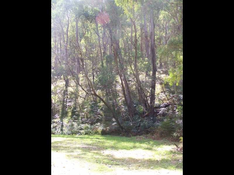 Yenschs Road, Tumbarumba NSW 2653