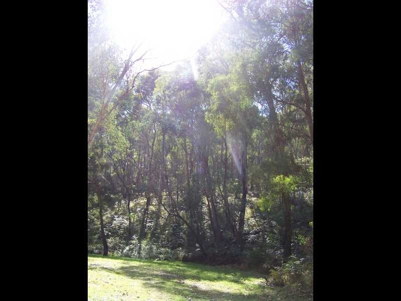 Yenschs Road, Tumbarumba NSW 2653