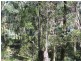 Yenschs Road, Tumbarumba NSW 2653