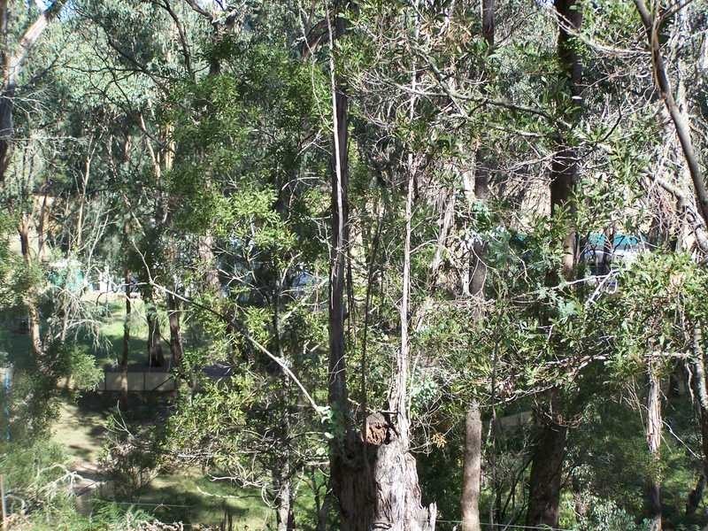 Yenschs Road, Tumbarumba NSW 2653