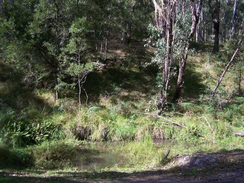 Yenschs Road, Tumbarumba NSW 2653