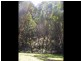 Yenschs Road, Tumbarumba NSW 2653