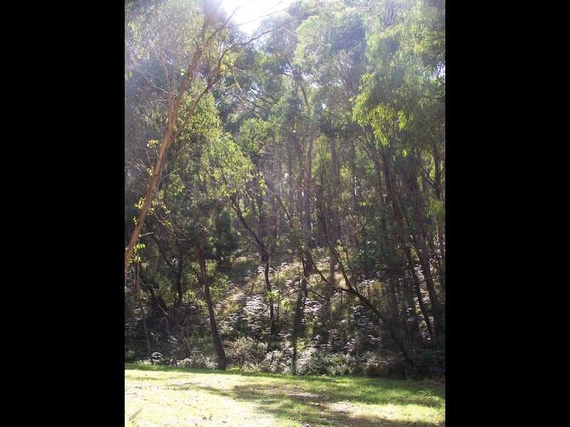 Yenschs Road, Tumbarumba NSW 2653