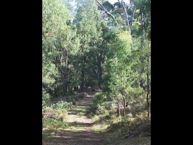 Yenschs Road, Tumbarumba NSW 2653