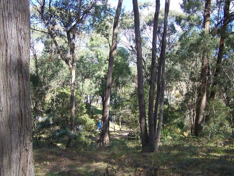 Yenschs Road, Tumbarumba NSW 2653