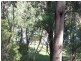 Yenschs Road, Tumbarumba NSW 2653