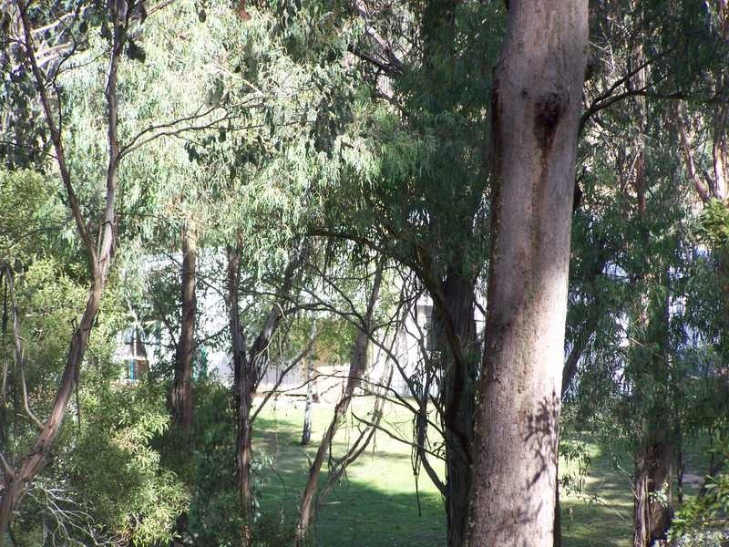 Yenschs Road, Tumbarumba NSW 2653