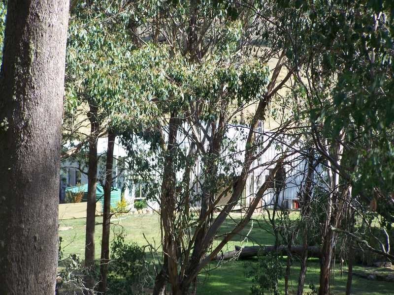 Yenschs Road, Tumbarumba NSW 2653