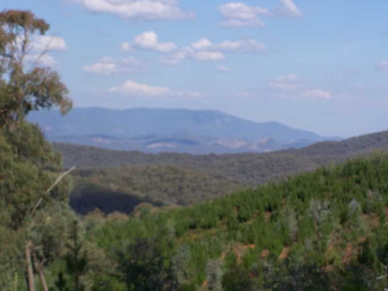 Yenschs Road, Tumbarumba NSW 2653