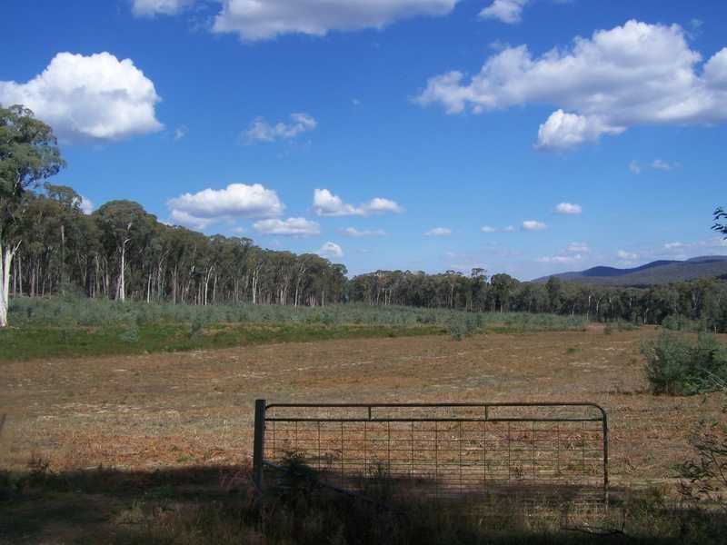 Yenschs Road, Tumbarumba NSW 2653