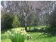 70 Bago Forest Road, Tumbarumba NSW 2653