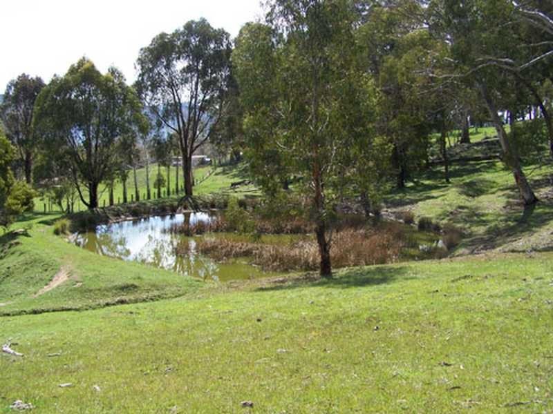 70 Bago Forest Road, Tumbarumba NSW 2653