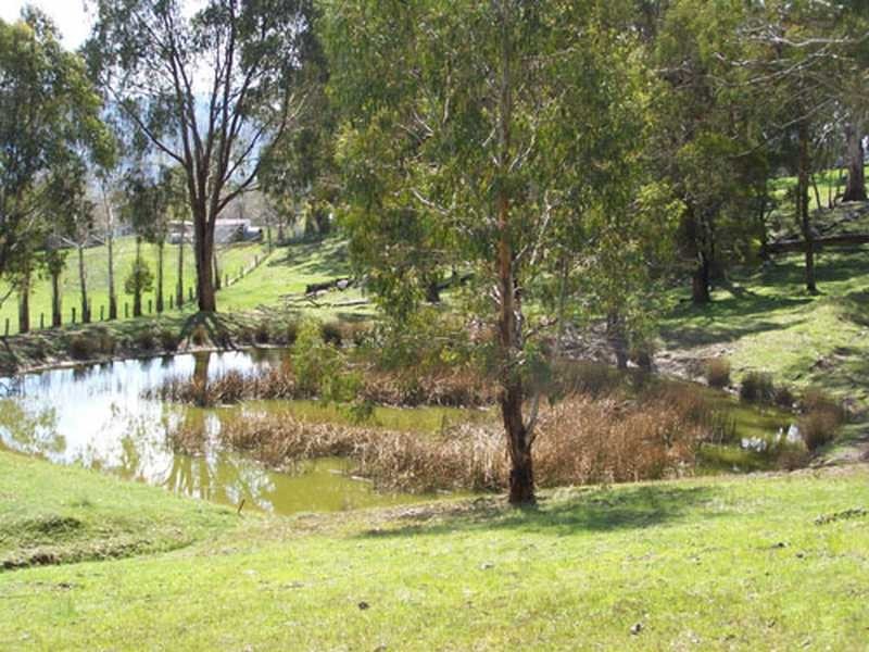 70 Bago Forest Road, Tumbarumba NSW 2653