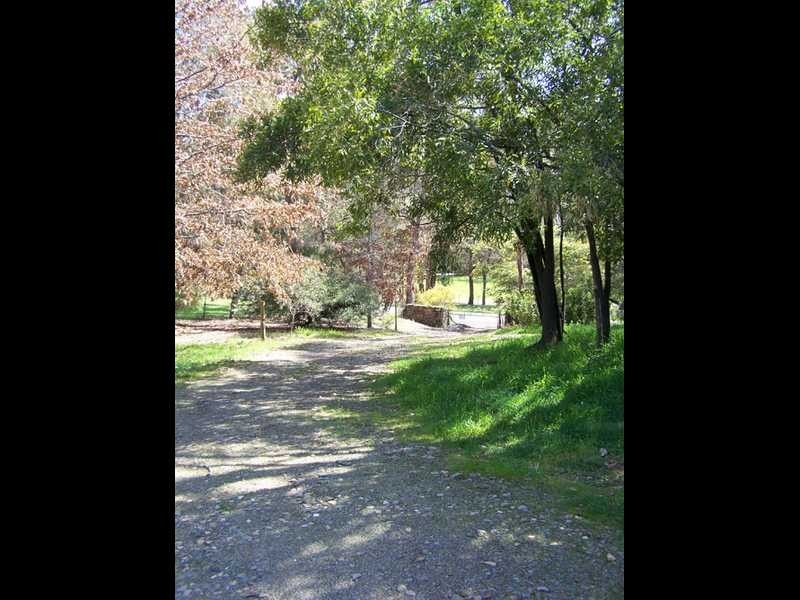 70 Bago Forest Road, Tumbarumba NSW 2653