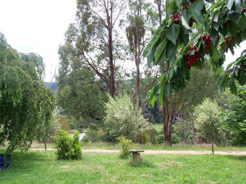 1420 Batlow Road, Tumbarumba NSW 2653