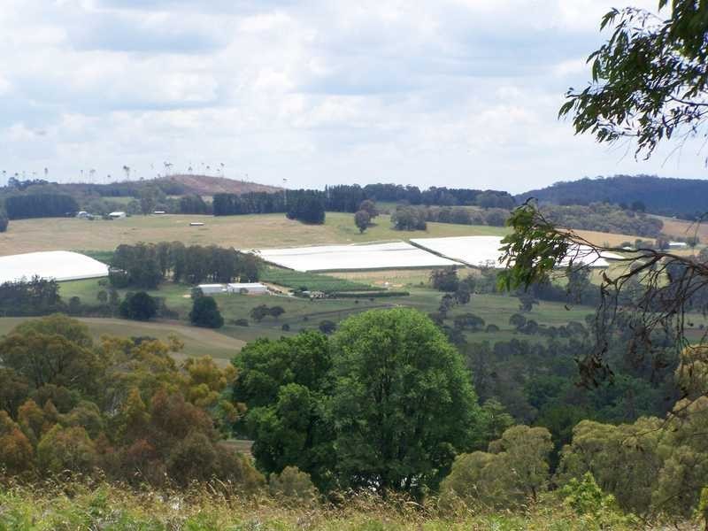 1420 Batlow Road, Tumbarumba NSW 2653